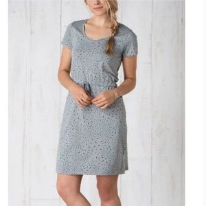 Toad & Co Light Ash Leaf Organic Tica Dress